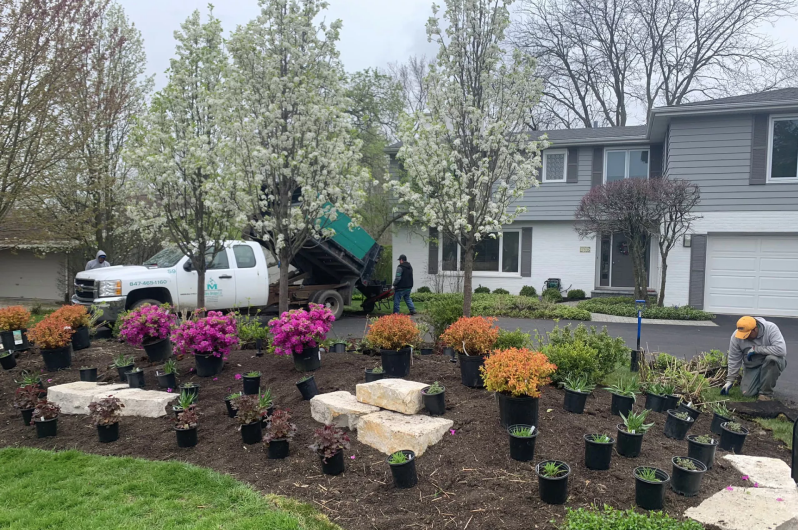 Landscaping team planting and applying mulch in garden bed