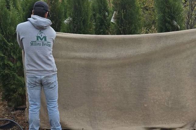 Seasonal Maintenance