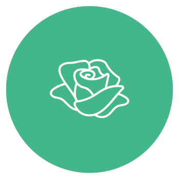 rose icon