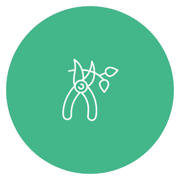 pruning icon
