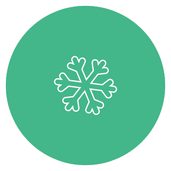 winter icon
