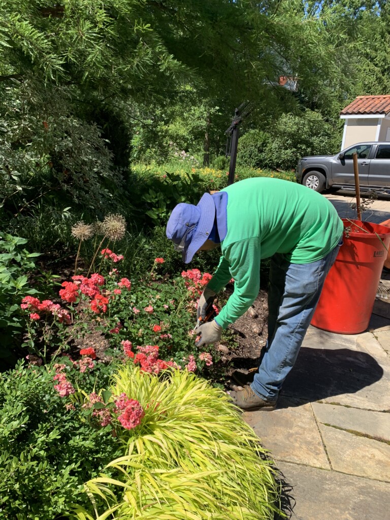 crew tending garden