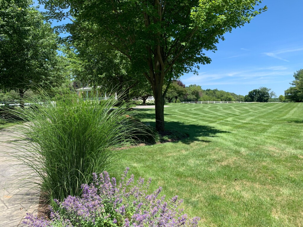 Landscaping Maintenance