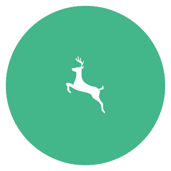 deer icon