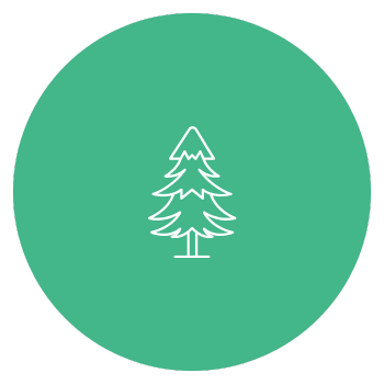 evergreen icon