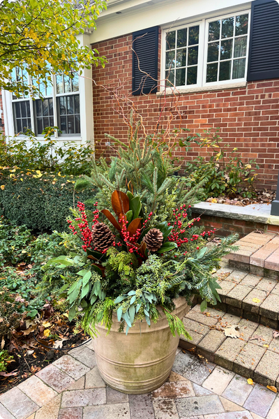 winter arrangement