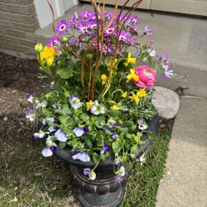 spring pot
