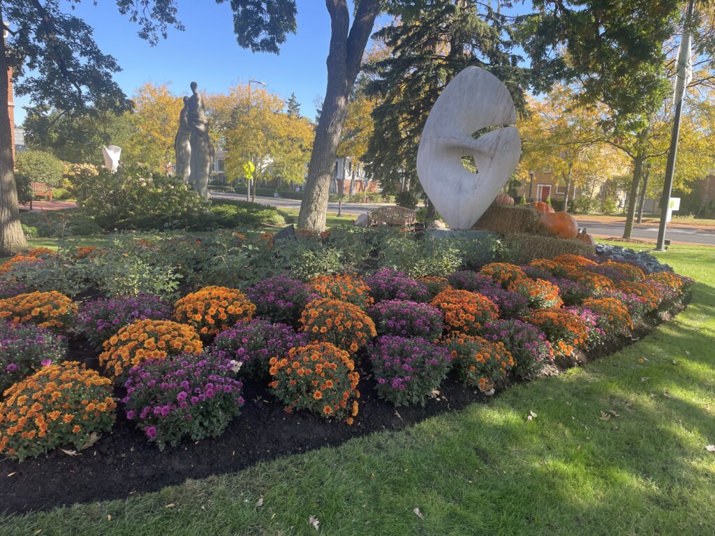 Village of Deerfield fall bushes