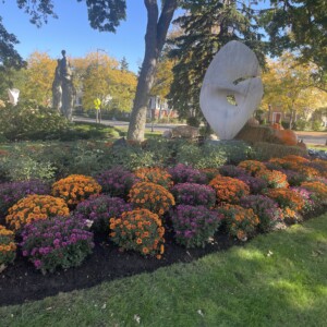 Village of Deerfield fall bushes
