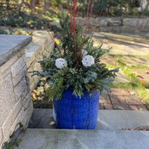 winter pot