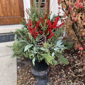 winter pot