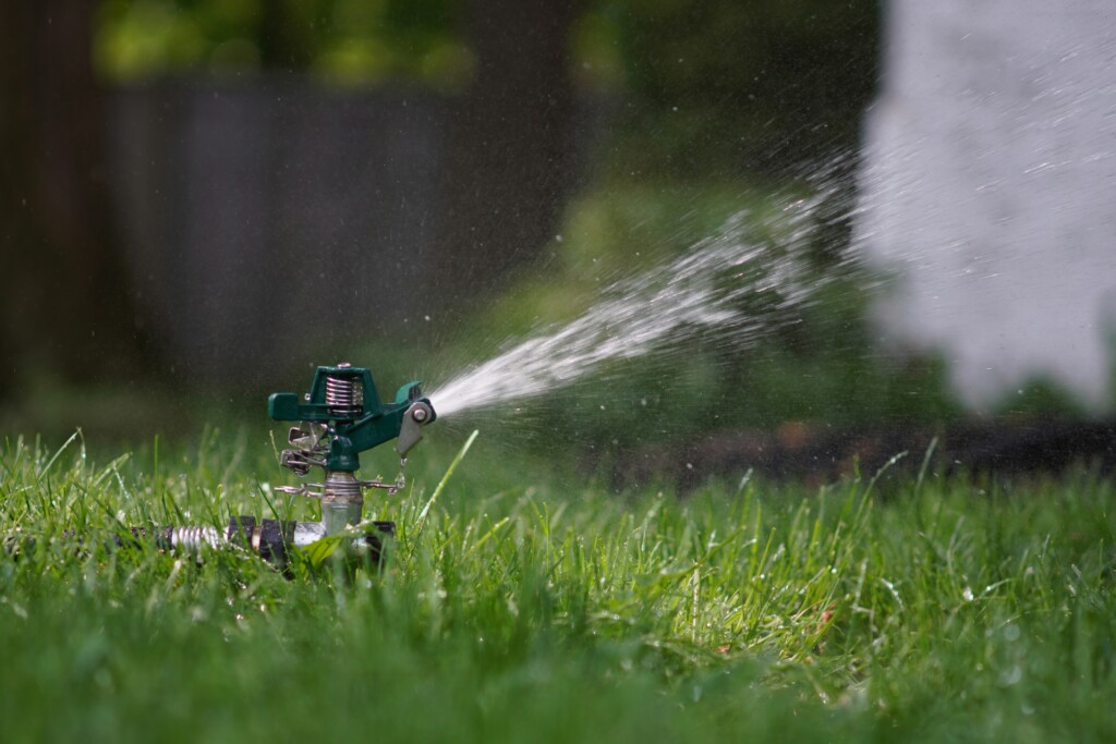 Grass Watering