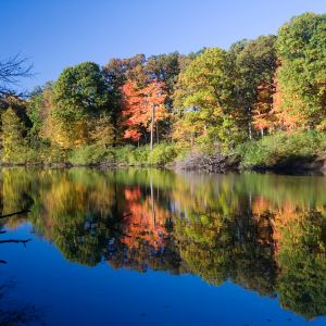 Lake Forest, Illinois