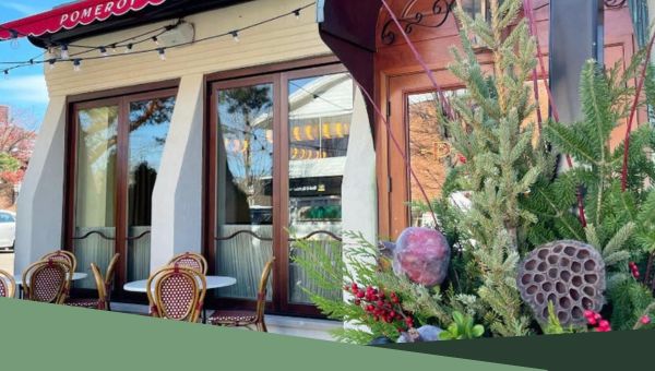 Commercial Landscape services