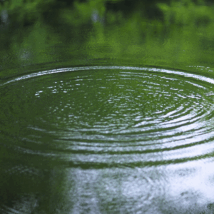 Grading and Drainage