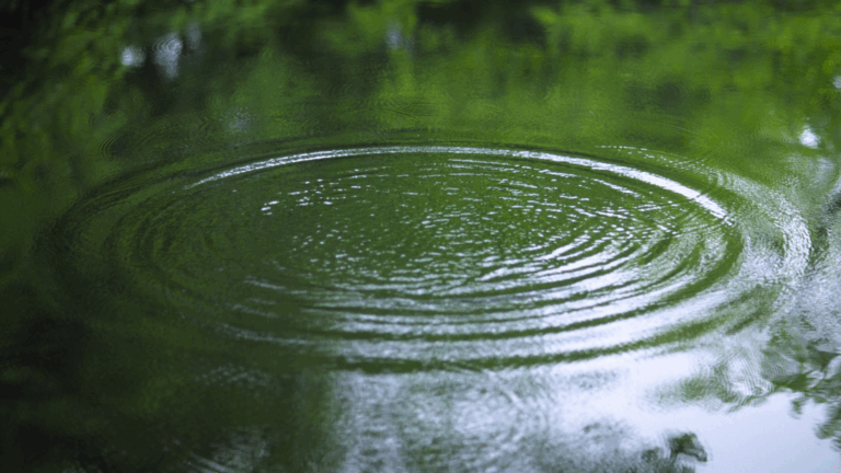 Grading and Drainage