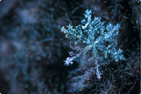 close up at a snowflake