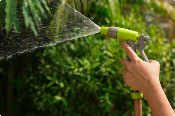 watering hose