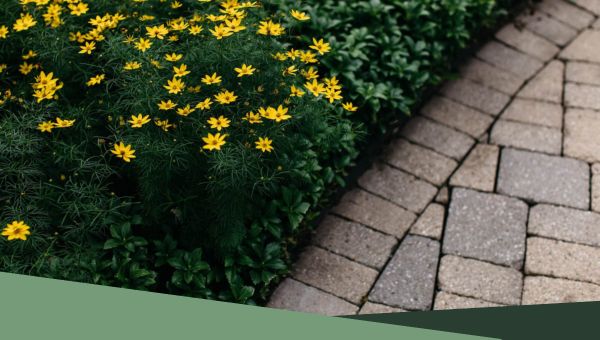Fresh blooms along a stone walkway