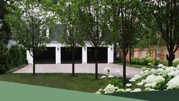 Shade trees near garages
