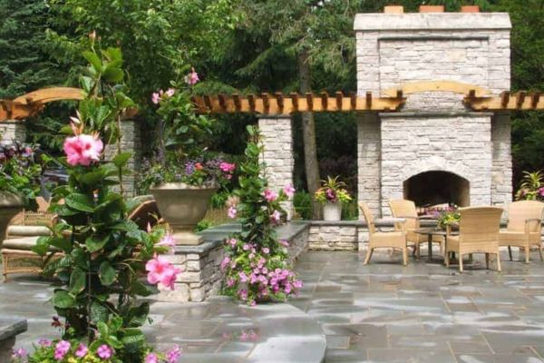 Backyard landscape design