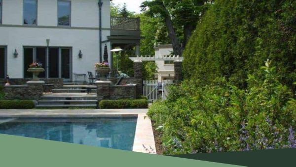 Privacy hedges near pool