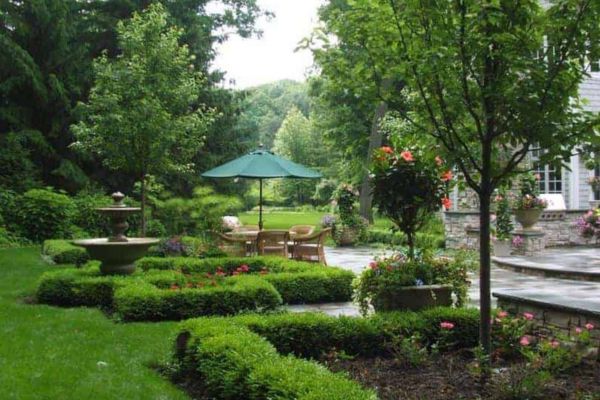 Backyard landscape design