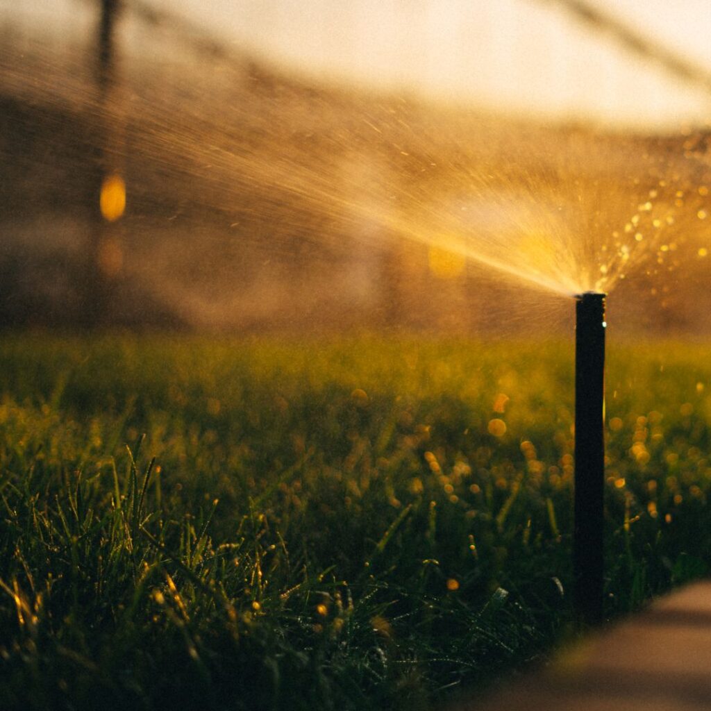 sprinklers watering grass in the early morning