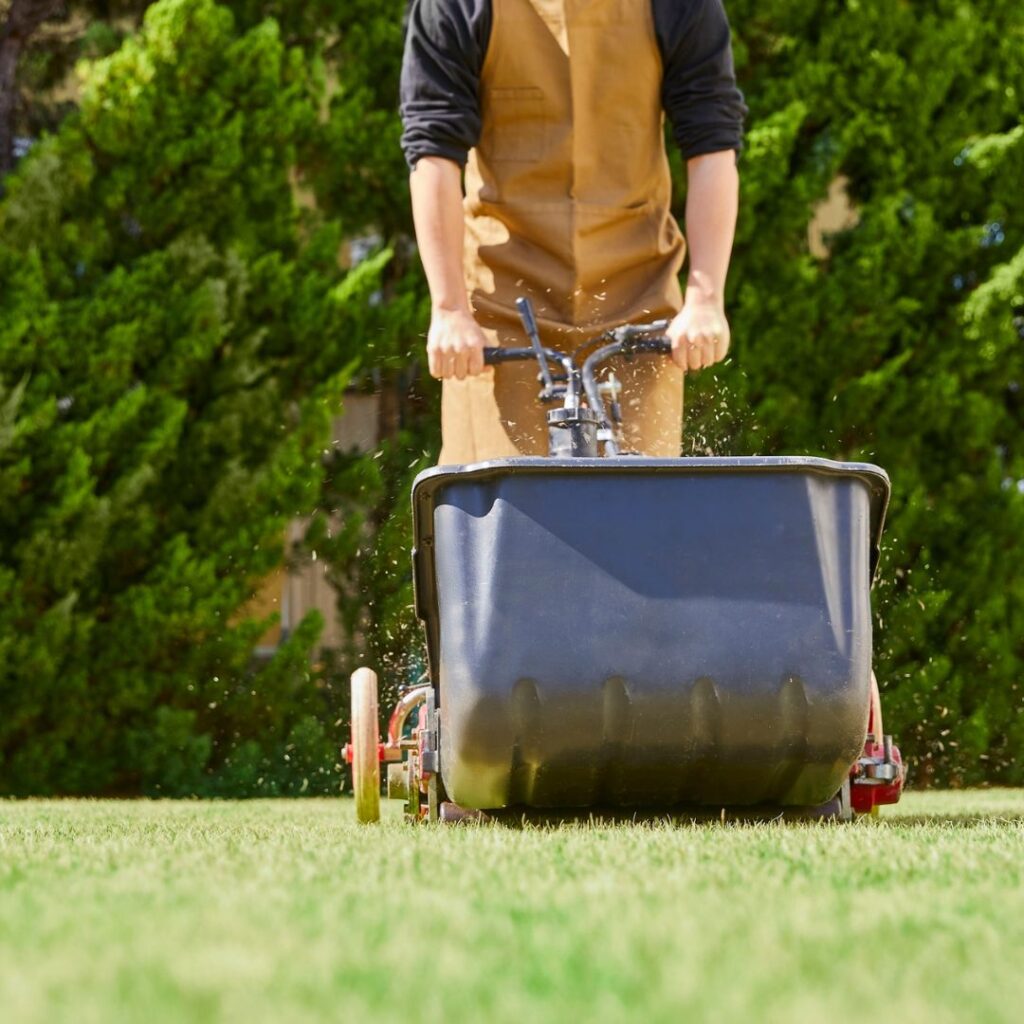 person fertilizing yard