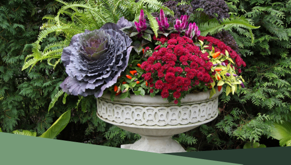 Seasonal Arrangements