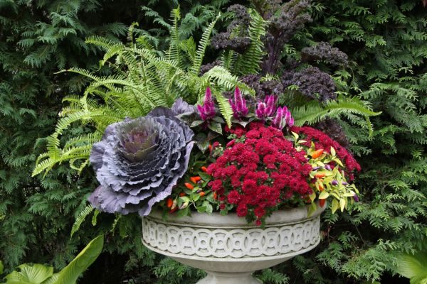 seasonal landscape enhancement for a flower pot