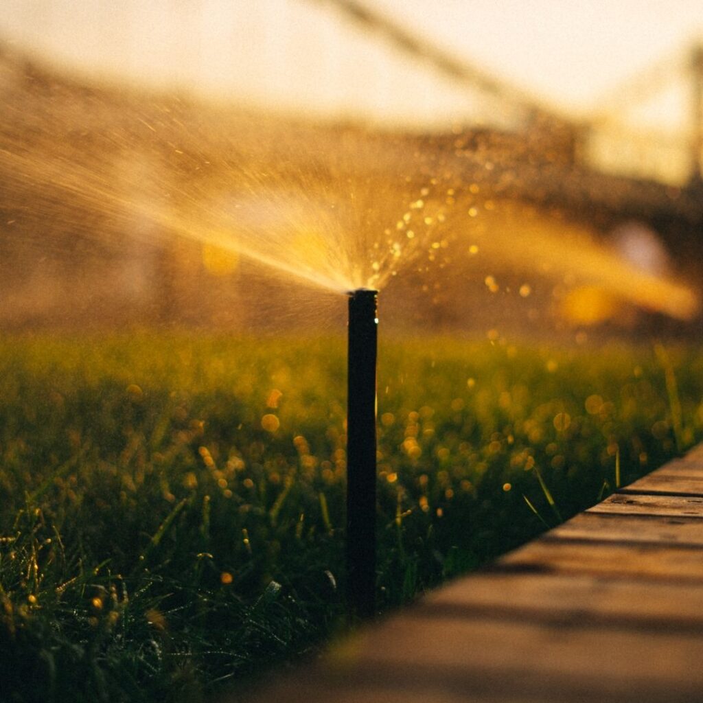 irrigation system running early in the morning