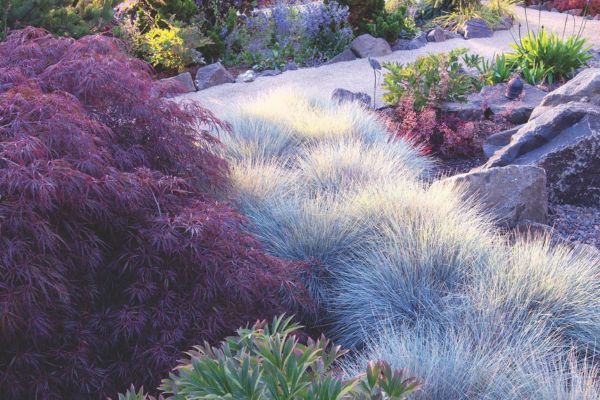 Various colored plants