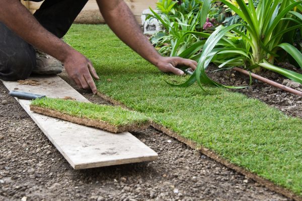 A worker planting grass
