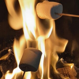 marshmallows over a fire