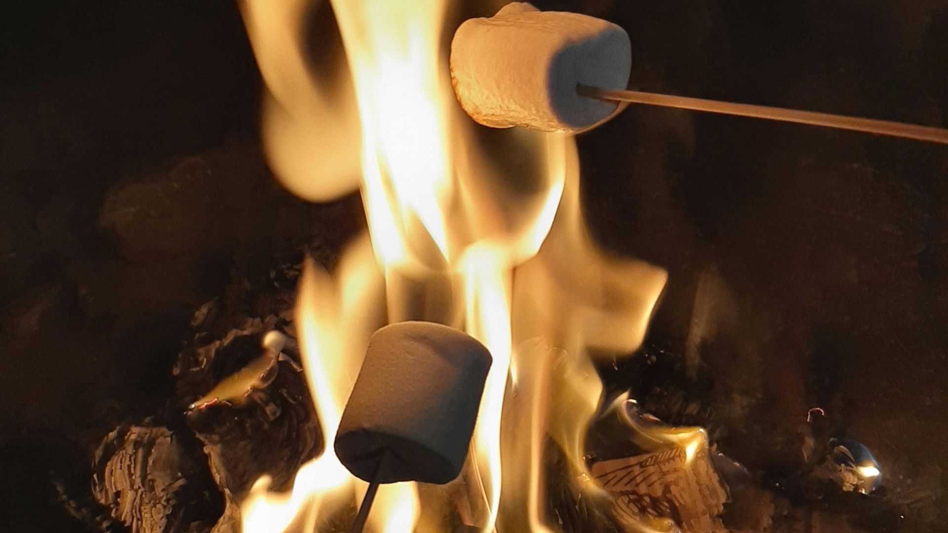 marshmallows over a fire