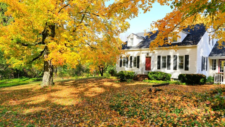 Essential Fall Steps to Protect Your Landscape Investments