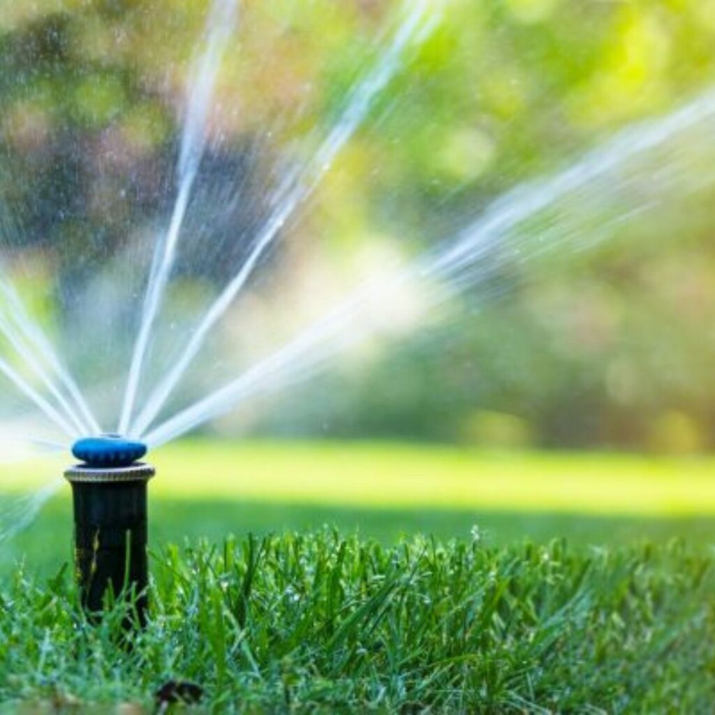 sprinkler in yard
