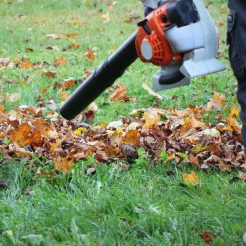using leaf blower to move leaves