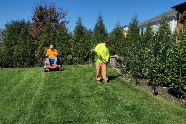 landscapers performing yard maintenance