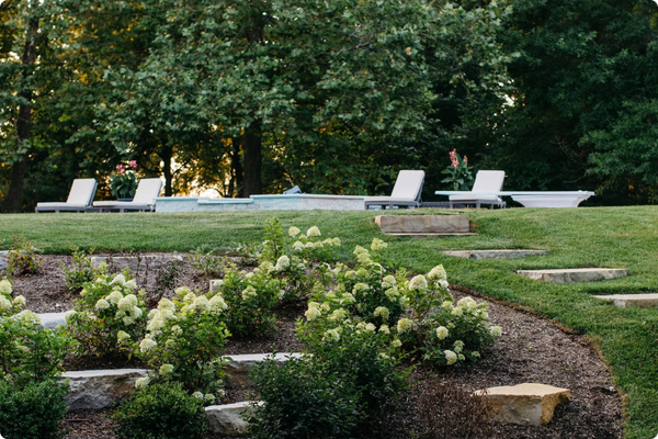 Image of a designed landscape