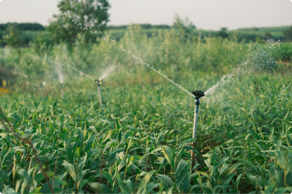 A closeup of a sprinkler system