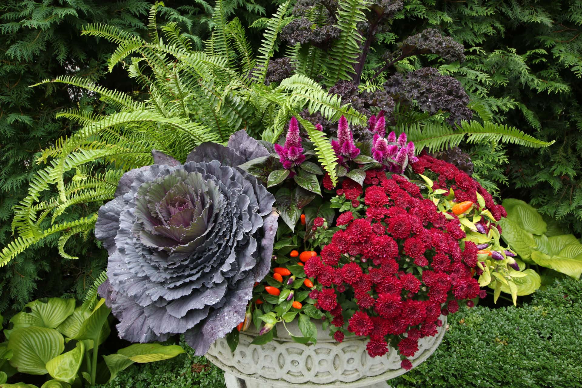 an assortment of seasonal flowers